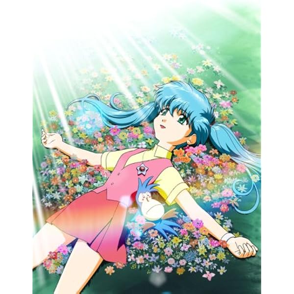 Amazon.co.jp: 花の魔法使いマリーベル DVD-BOX【初回限定生産】 : 本